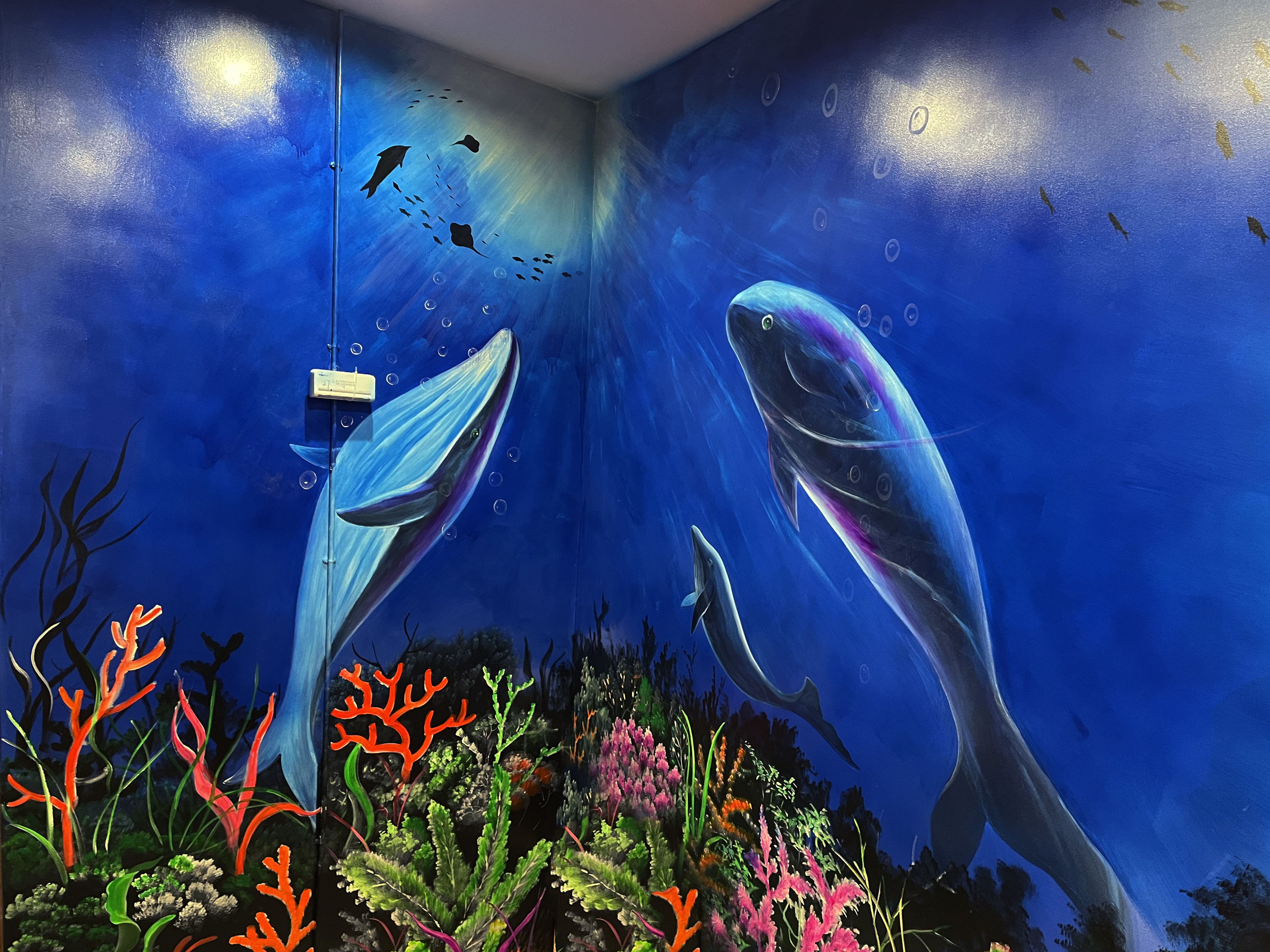 1c0c24a15eacee9801e6706c32d42aa.jpg 1c0c24a15eacee9801e6706c32d42aa.jpg